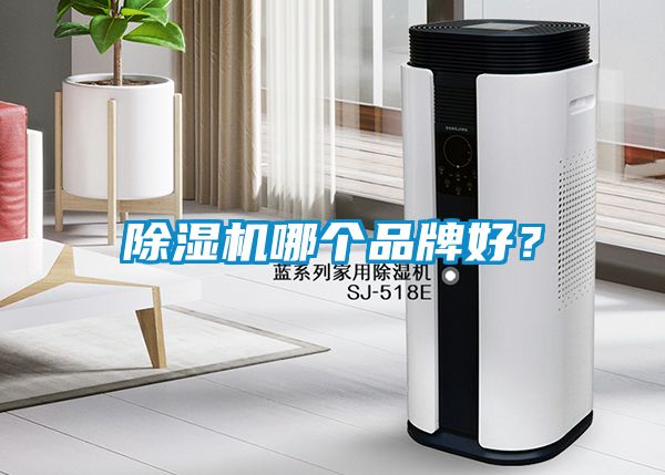 除濕機哪個品牌好？