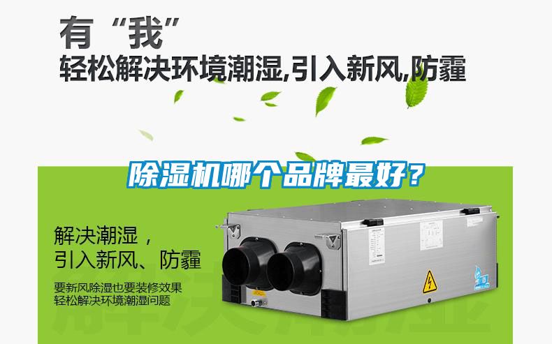 除濕機哪個品牌最好？