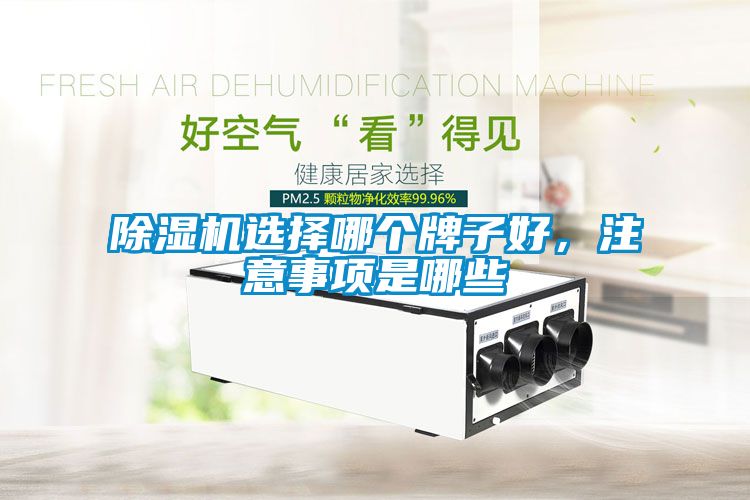 除濕機(jī)選擇哪個(gè)牌子好，注意事項(xiàng)是哪些