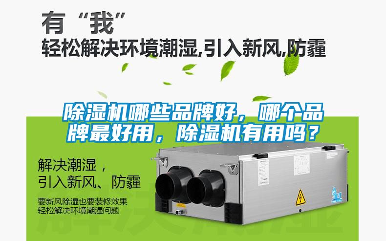 除濕機(jī)哪些品牌好，哪個品牌最好用，除濕機(jī)有用嗎？