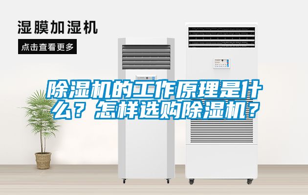 除濕機(jī)的工作原理是什么？怎樣選購(gòu)除濕機(jī)？