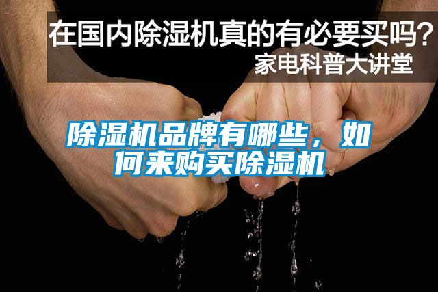除濕機品牌有哪些，如何來購買除濕機