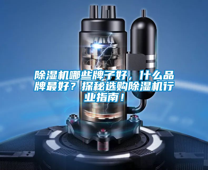 除濕機(jī)哪些牌子好，什么品牌最好？探秘選購(gòu)除濕機(jī)行業(yè)指南！