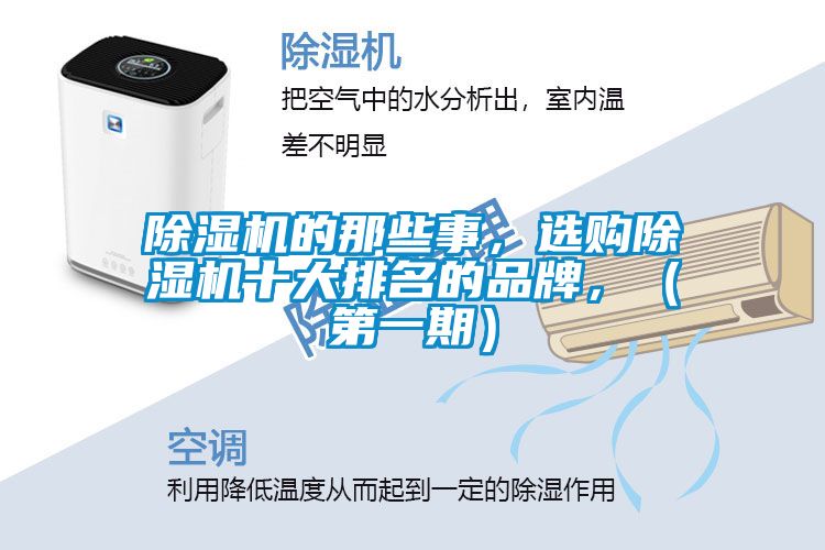除濕機(jī)的那些事，選購(gòu)除濕機(jī)十大排名的品牌，（第一期）