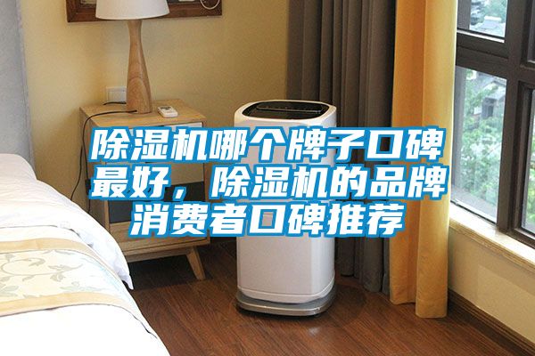 除濕機(jī)哪個牌子口碑最好，除濕機(jī)的品牌消費(fèi)者口碑推薦