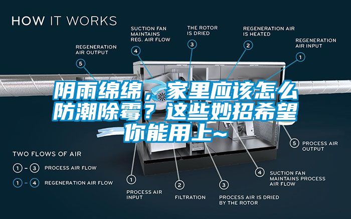 陰雨綿綿，家里應該怎么防潮除霉？這些妙招希望你能用上~