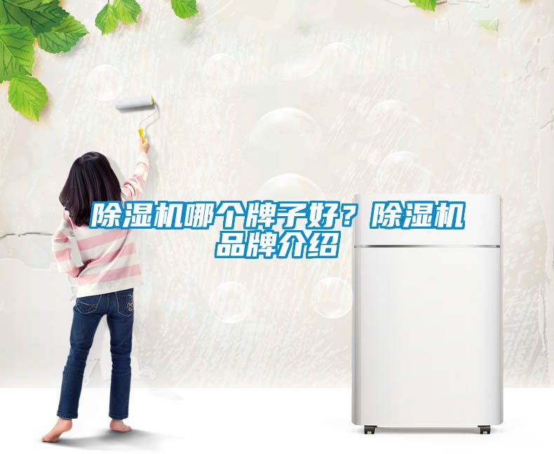 除濕機(jī)哪個牌子好？除濕機(jī)品牌介紹