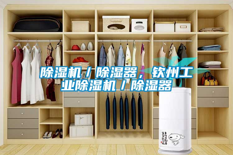 除濕機／除濕器，欽州工業(yè)除濕機／除濕器