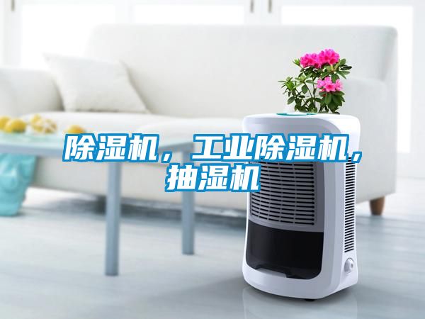 除濕機，工業(yè)除濕機，抽濕機