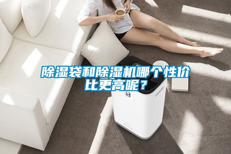 除濕袋和除濕機哪個性價比更高呢？