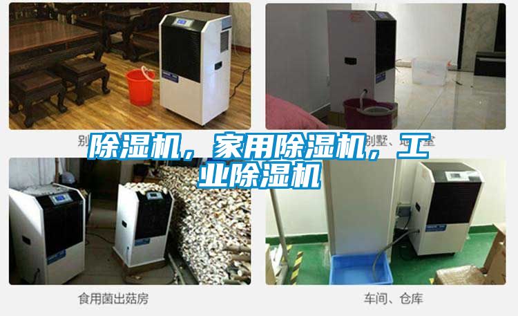 除濕機，家用除濕機，工業除濕機