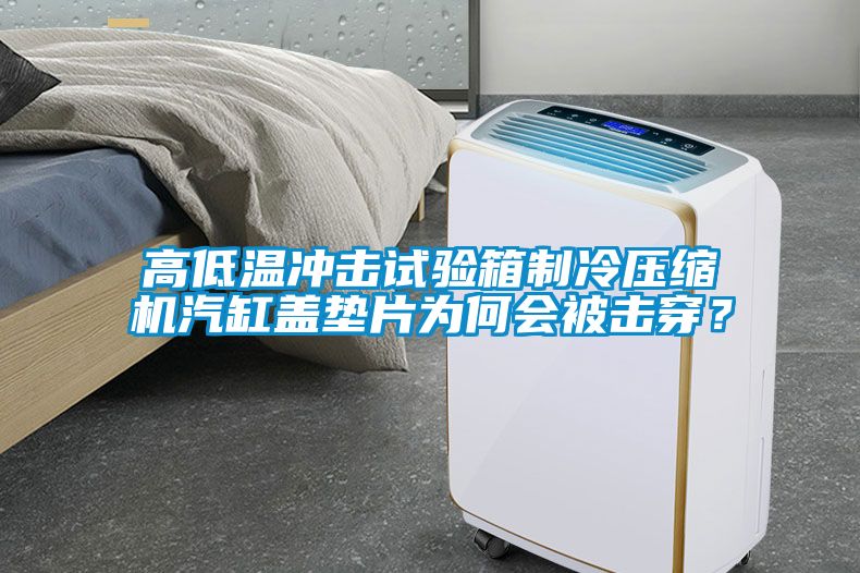 高低溫沖擊試驗箱制冷壓縮機汽缸蓋墊片為何會被擊穿？