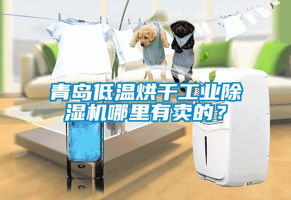 青島低溫烘干工業(yè)除濕機哪里有賣的？